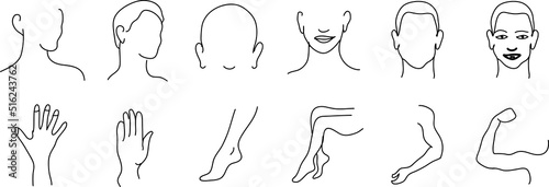 Vector image set of female body parts line icons. on white background..eps