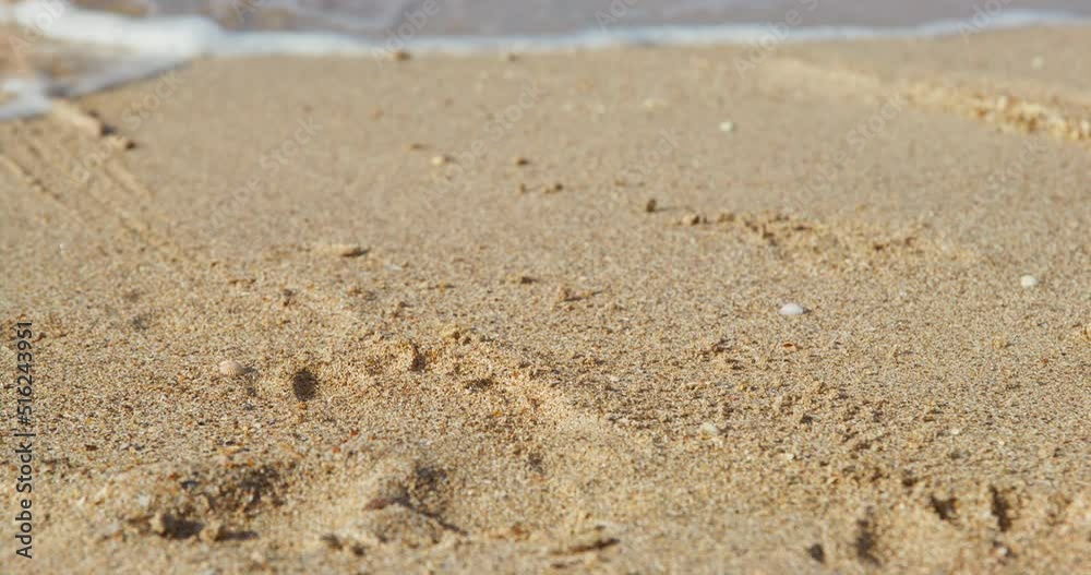 Person with bare feet pushes the boat with effort from the shore into water, leaving footprints in the wet sand, close up. A sailor is going to sail to sea for a walk or fishing Person with bare feet pushes the boat with effort from the shore into water, leaving footprints in the wet sand, close up. A sailor is going to sail to sea for a walk or fishing