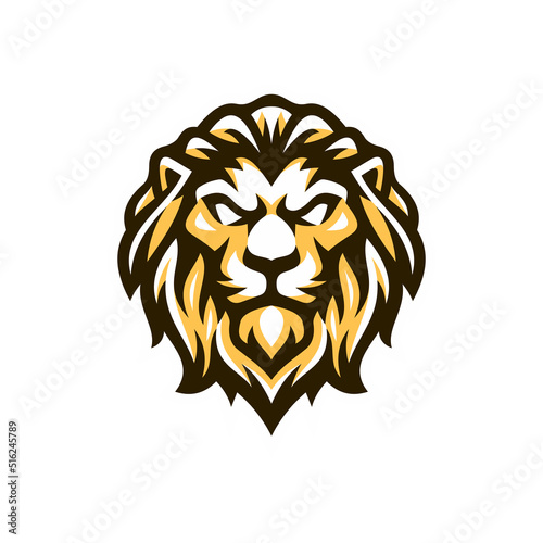 Fototapeta Naklejka Na Ścianę i Meble -  Lion head mascot logo illustration