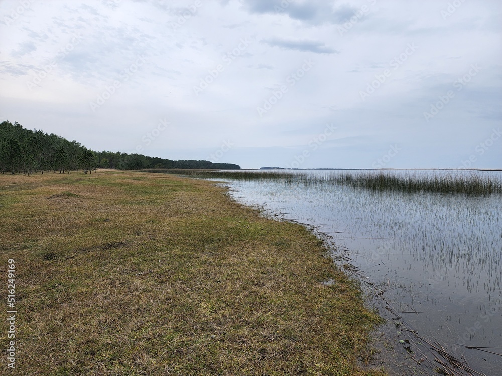 lagoa, fazenda, água, açude, rio