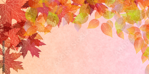 紅葉　もみじ　秋　背景
