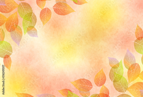 紅葉　もみじ　秋　背景
