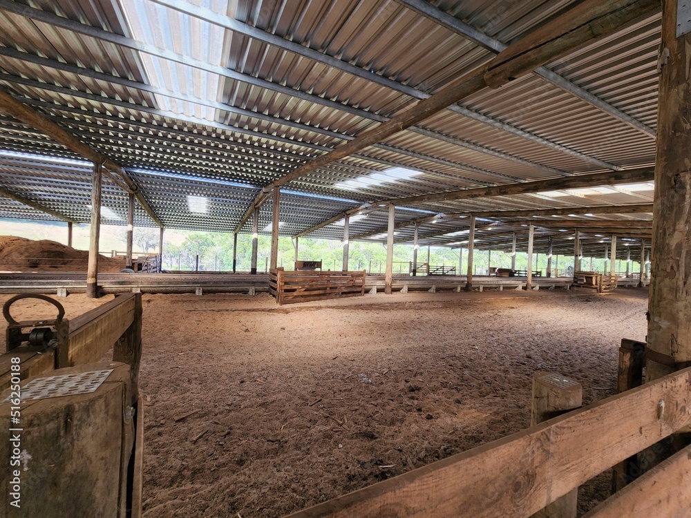 curral de confinamento para engorda de animais curral de confinamento para engorda de animais