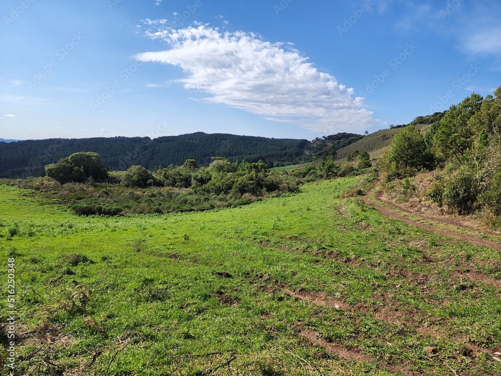 Obraz premium campo para pastagem de animais