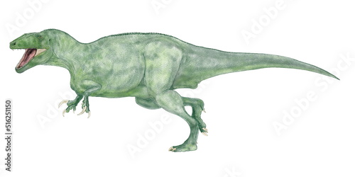 マイプ　マクロソラックス　南米アルゼンチンの白亜紀後期の地層から部分骨格が発見された。推定全長は9から10メートル体幅は2メートルと広く、南米での当時の食物連鎖の頂点にいた肉食恐竜であると推定されている。明確ではないが、メガラプトル類メガラプトル科に属するとされている。この科の他の肉食性の恐竜と同様にやや細面であるが薄く鋭い歯を持っていた。『マイプ』はパタゴニア地方の悪霊の名である。 © Mineo