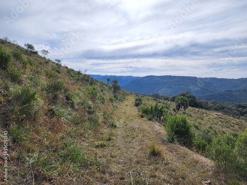 fazenda, campo para pecuária