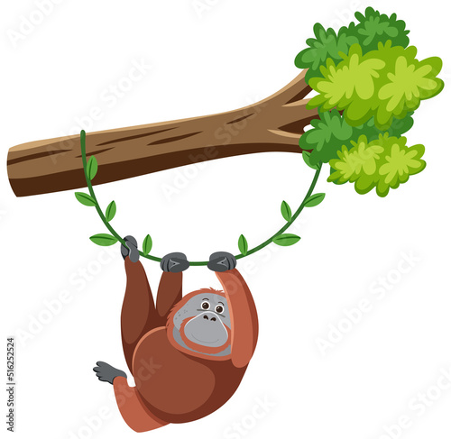 Orangutan hanging on tree photo