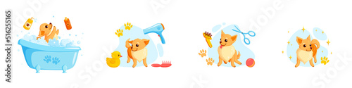 Dog grooming in a bath with pet shampoo, combs and rubber ducks. Playful chihuahua puppy in grooming service. Vector illustration in cute cartoon style