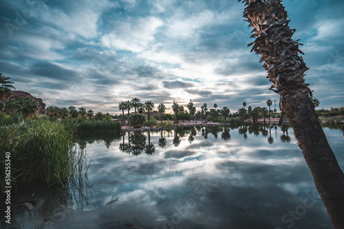 lake and trees