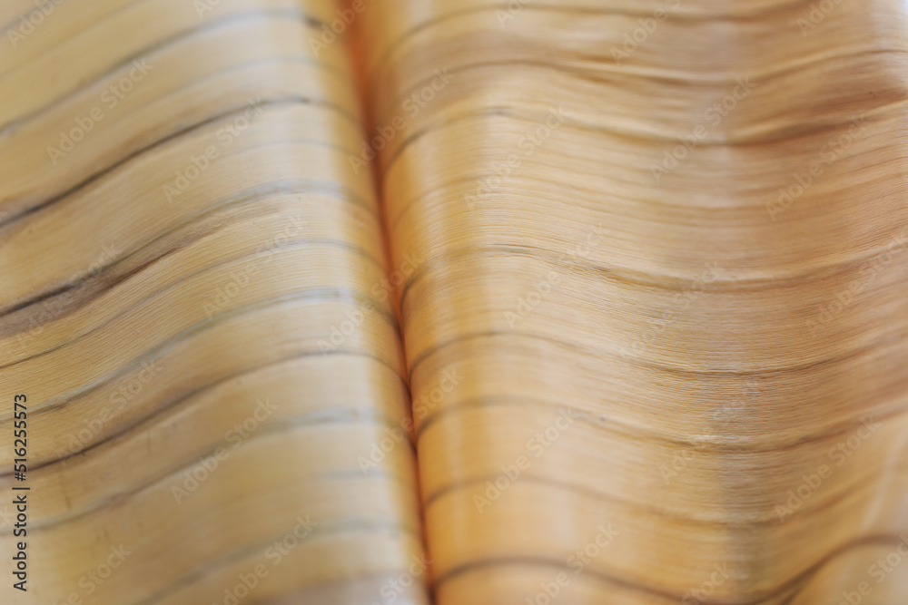 Texture background backlight cinnamon dry leaf. Closeup background of beige banana leaf use space for text or image design. dry paper Texture background backlight cinnamon dry leaf. Closeup background of beige banana leaf use space for text or image design. dry paper