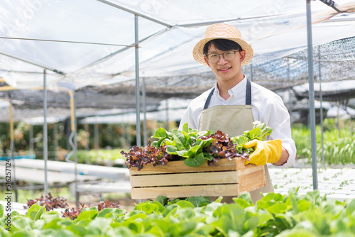Hydroponic vegetable concept, Young Asian man holding basket of fresh salad in hydroponic farm