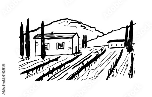 Vineyard with Grape Field drawing. Ink hand drawn scene for Wine label design. Vector Tuscany Landscape with house and mountains