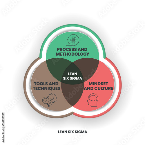 A Lean Six Sigma analysis venn diagram has 3 steps such as process and methodology, tools and techniques, mindset and culture. Business infographic presentation vector for slide or website banner.