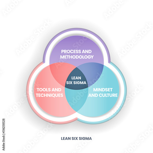 A Lean Six Sigma analysis venn diagram has 3 steps such as process and methodology, tools and techniques, mindset and culture. Business infographic presentation vector for slide or website banner.