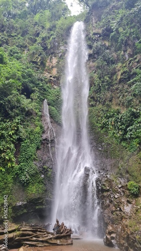 Tropical lush green waterfall in Costa Rica