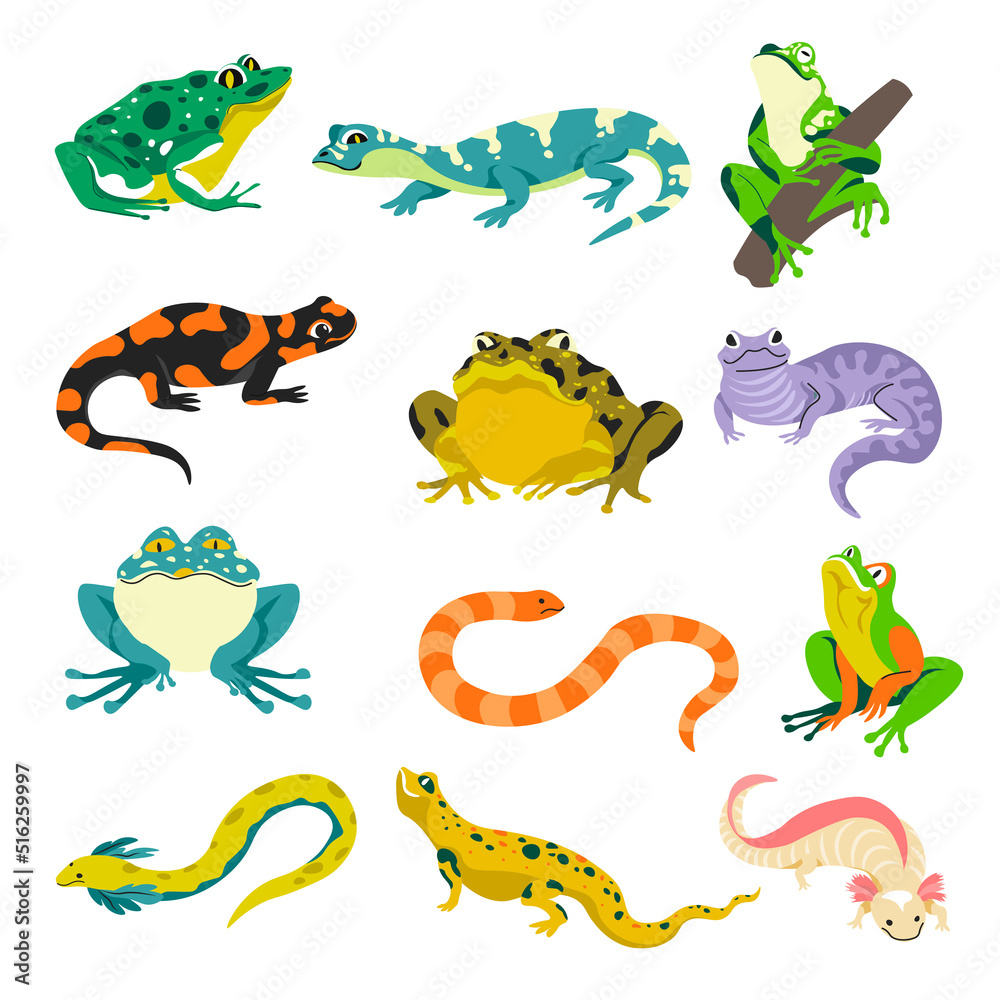 Obraz premium Amphibians snakes and lizards, frogs and iguana