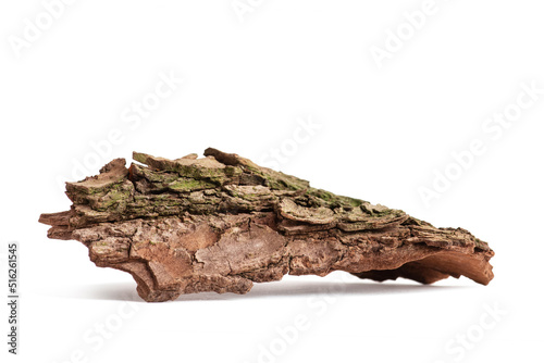 a piece of dry tree bark on a white isolated background