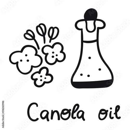 Canola oil. Hand drawn outline icon. 