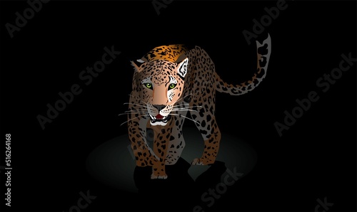 Leopard in the dark walking, vector, Hunting style big cat print on black background. 