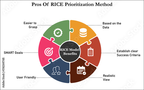 Pros of RICE Prioritization Method with Icons in an Infographic template