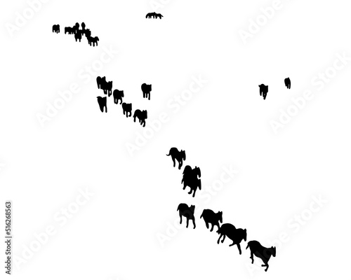 black shadow illustration Herds of wild horses are migrating.