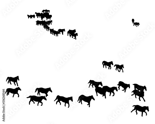 black shadow illustration Herds of wild horses are migrating.