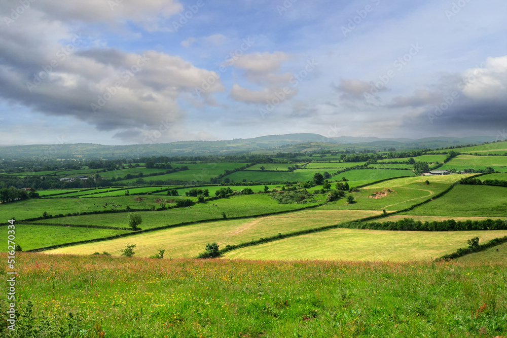 Agricultural land in county Tipperary, Ireland. Irish rural landscape. Green grass fields with cows on a hills. Cloudy sky. Agriculture and food supply industry. Country side with meadows.
