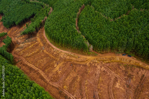 Area in a green forest with freshly cut trees and piles of logs by a small road. County Tipperary Ireland. Forestry industry. Supply of material and fuel. Ecology problem. Aerial view.