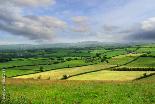 Agricultural land in county Tipperary  Ireland. Irish rural landscape. Green grass fields with cows on a hills. Cloudy sky. Agriculture and food supply industry. Country side with meadows.