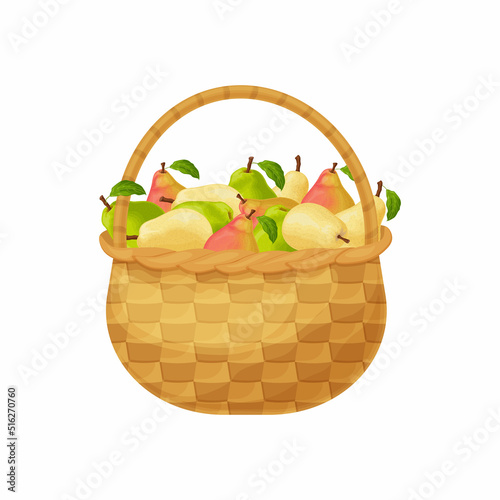 Pears. Basket with pears. Ripe pear fruits in a basket. Fresh garden fruits. Juicy pears in the basket. Vector illustration isolated on a white background.