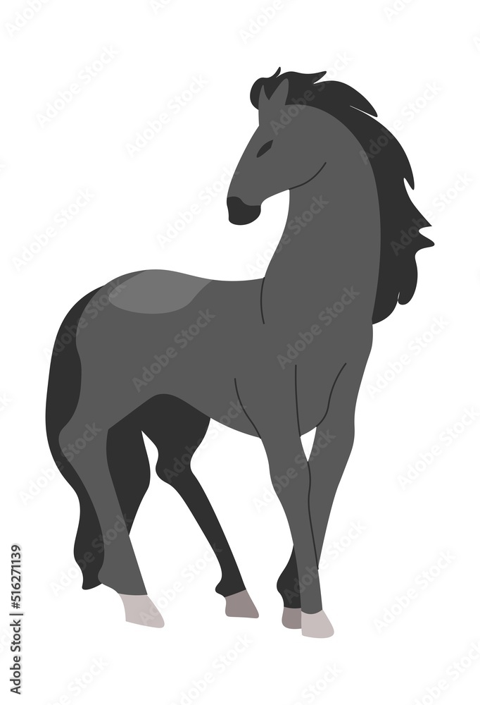 Horse mammal, equine animal breeding on farms Horse mammal, equine animal breeding on farms