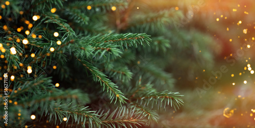 Christmas tree branches with a garland with sunlight.