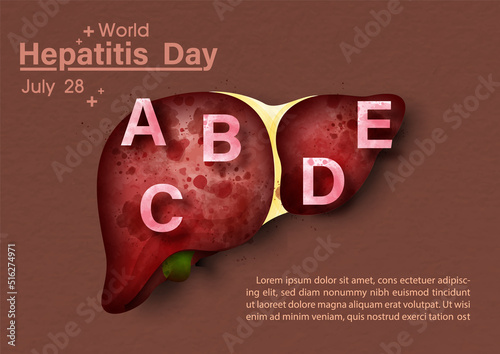 Human liver with English letters in Concept of hepatitis A, B, C, D, and world hepatitis day poster's campaign in watercolors style on brown background.