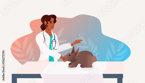 experimental rabbit in modern veterinary clinic or lab doctor analyzing health beat biological genetic engineering research
