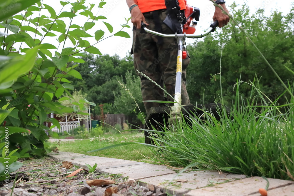 Fototapeta premium A gardener mows the grass with a brush cutter.