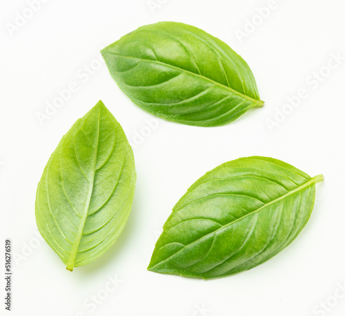 Fresh green basil leaves  Ocimum basilicum  isolated on white background. Top view.