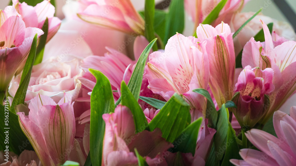 Obraz premium Gently pink flowers close-up. Floral background.