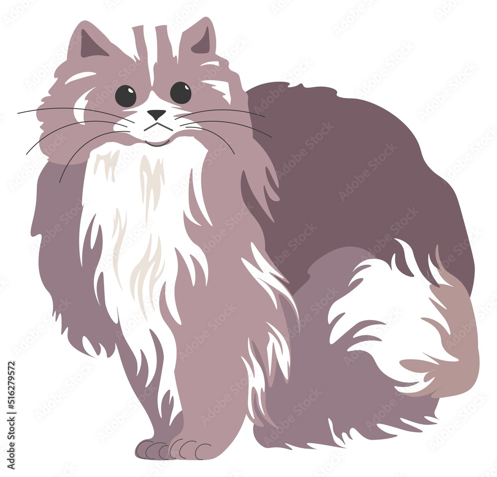 Furry cat, kitty with whiskers, feline animal Furry cat, kitty with whiskers, feline animal