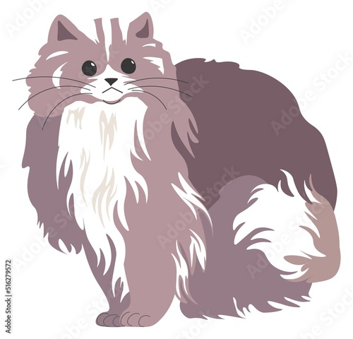 Furry cat, kitty with whiskers, feline animal