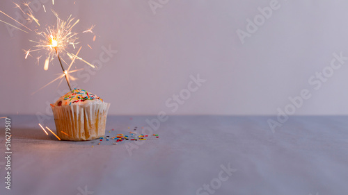 Delicious muffin and burning sparkler decorating it, copy space for text about birthday celebration