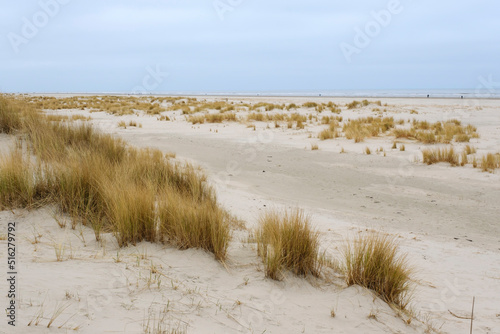 Fototapeta Naklejka Na Ścianę i Meble -  Sanddüne am Strand von Juist, Ostfriesische Insel, Niedersachsen, Deutschland, Europa