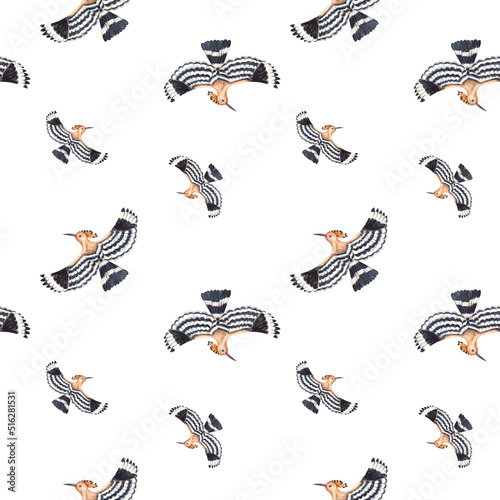 Flying hoopoe seamless pattern. Watercolor hand-painted graphic on white background.  Forest bird design for print  textile  wrapping paper