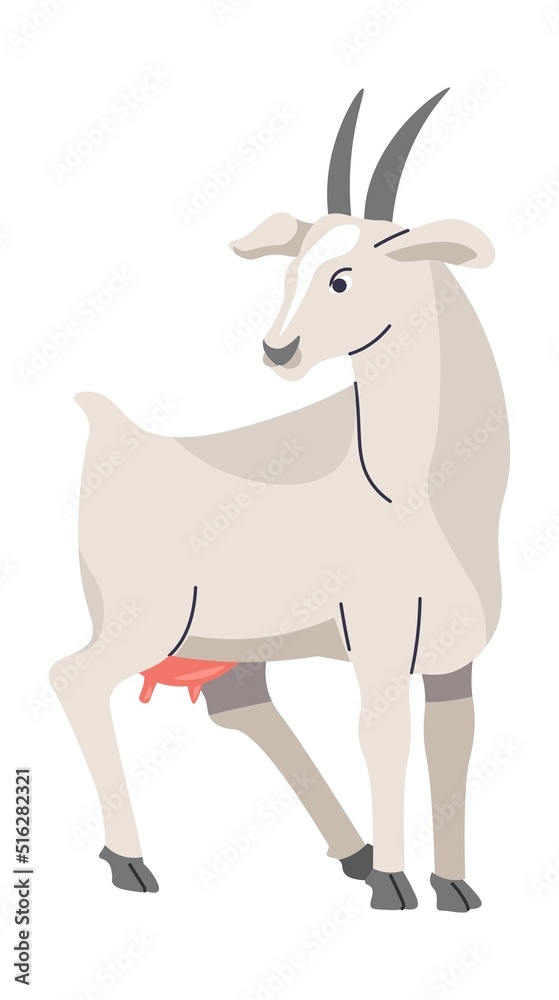Goat domestic and farm animals, livestock vector