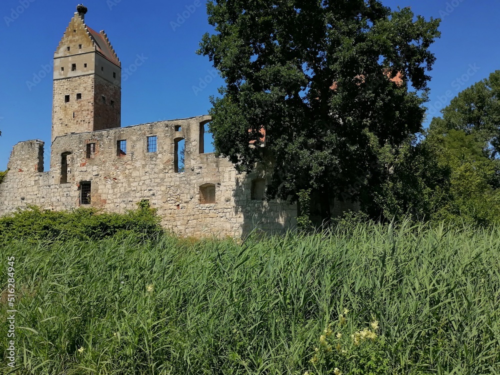 Old knight's castle in the countryside