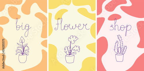 Set of posters with flowerpots. Line art hand drawn houseplants with colorful abstract shapes. Vector modern minimalism.