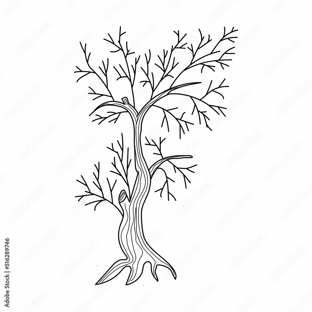 Naklejka premium dry old tree