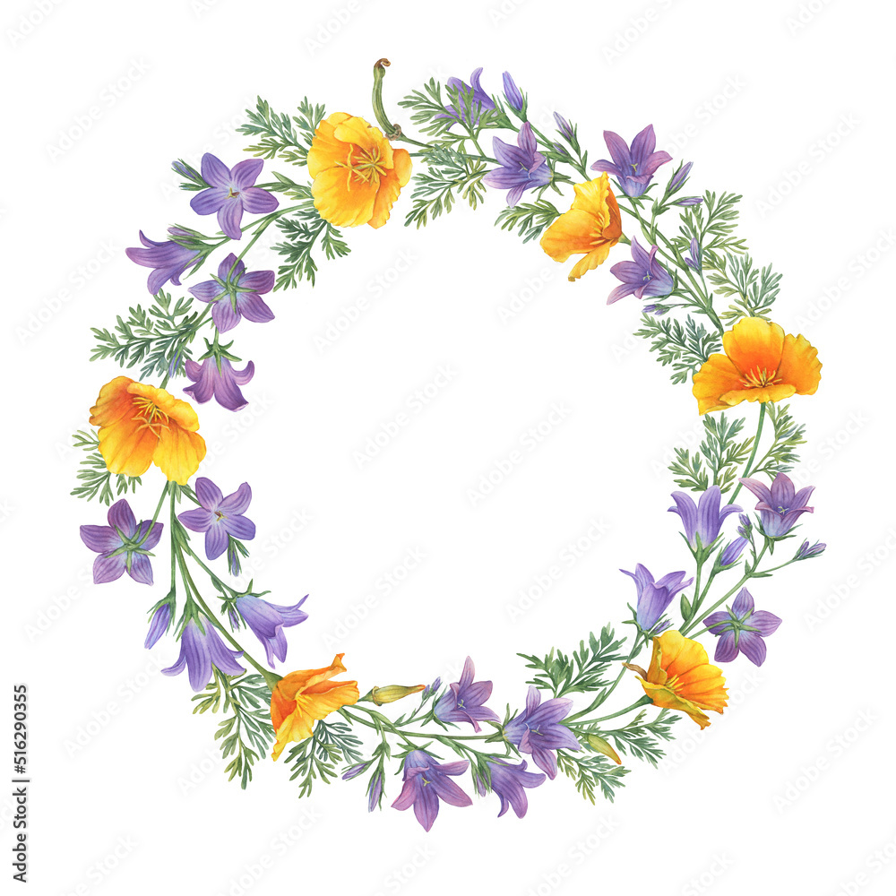 Wreath, round frame with bluebell (rapunzel, bellflower, Campanula patula) and golden Eschscholzia (California poppy) flowers. Watercolor painting illustration isolated on white background