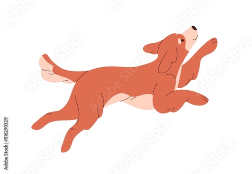 Cute happy dog running, rejoicing. Funny carefree puppy jumping. Doggy, canine animal. Adorable friendly bicolor pup in motion. Flat vector illustration isolated on white background