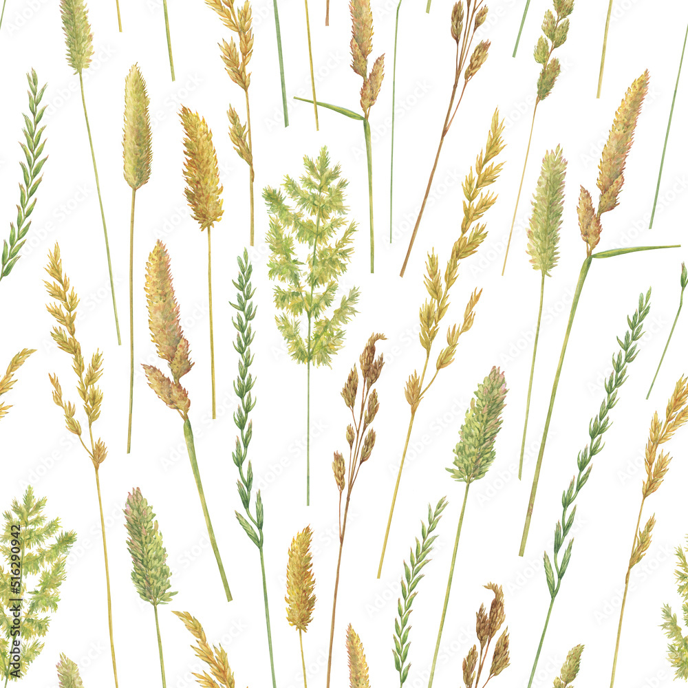 Seamless pattern with summer field dry herbs, dried yellow meadow spikelets. Watercolor hand drawn painting illustration, isolated on white background. Seamless pattern with summer field dry herbs, dried yellow meadow spikelets. Watercolor hand drawn painting illustration, isolated on white background.
