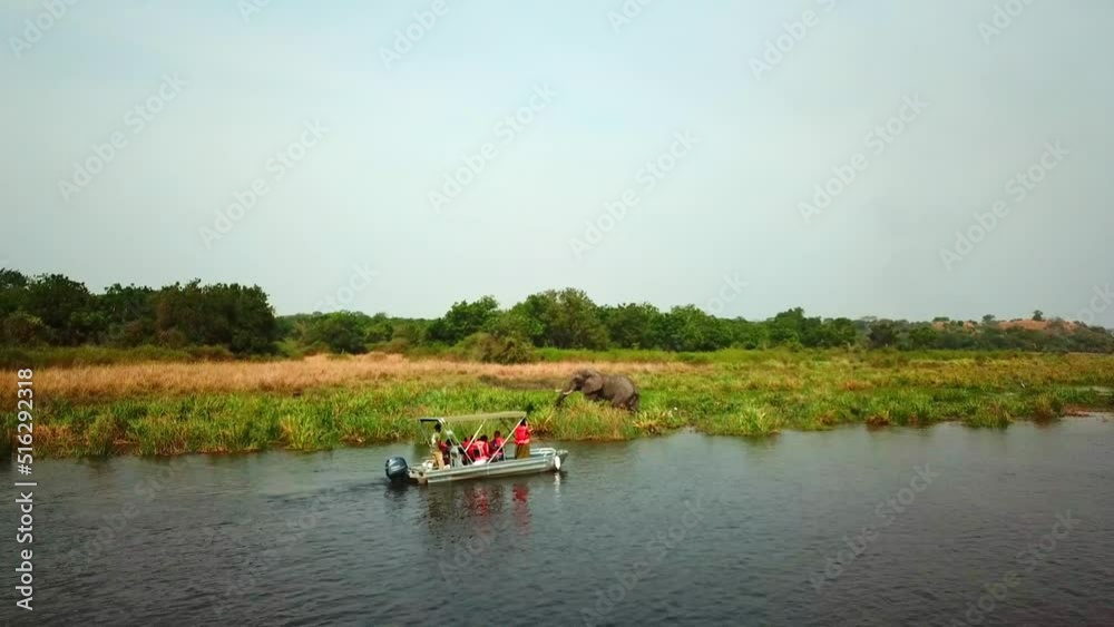 Boat Ride Tour Along River Nile in Uganda With Grazing Elephant At The Grassy Riverbank. Aerial Drone Shot Boat Ride Tour Along River Nile in Uganda With Grazing Elephant At The Grassy Riverbank. Aerial Drone Shot